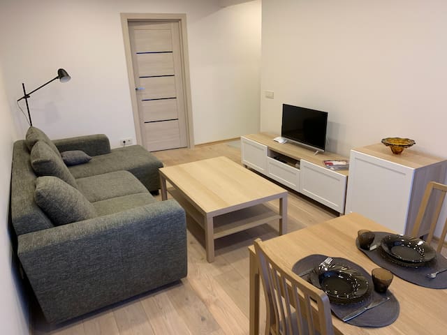 Modern Apartment Close to the Panevezys Center