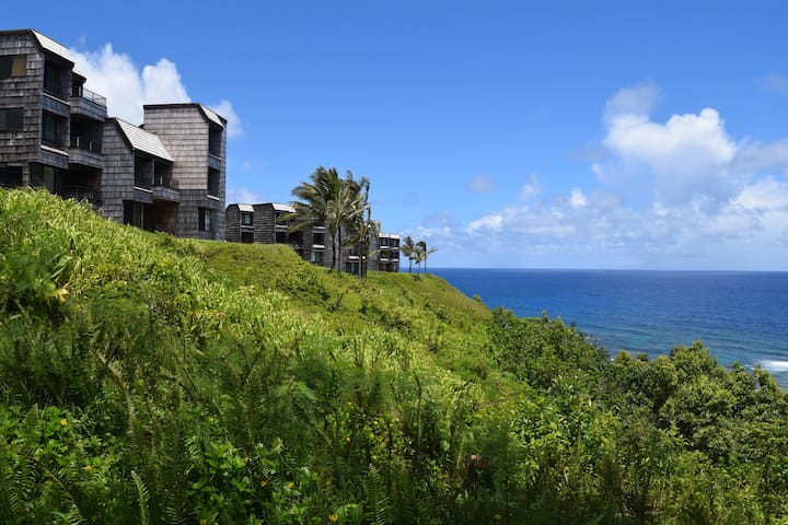 Airbnb Princeville Ferienwohnungen Unterkunfte Hawaii