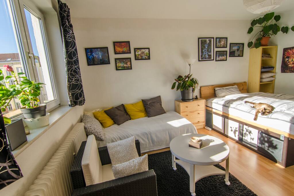 This can be your room
