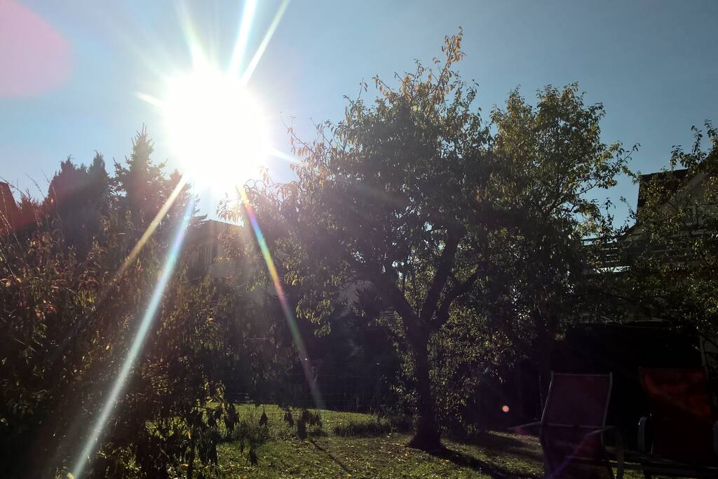 Der Garten mit Sonne am Nachmittag ...