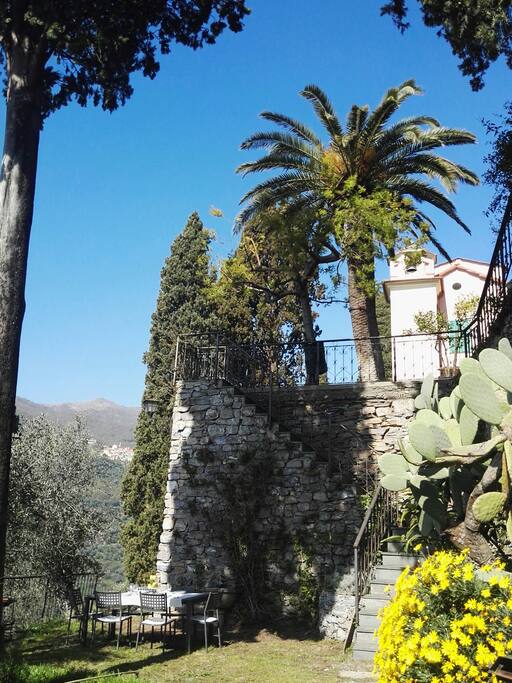 giardino