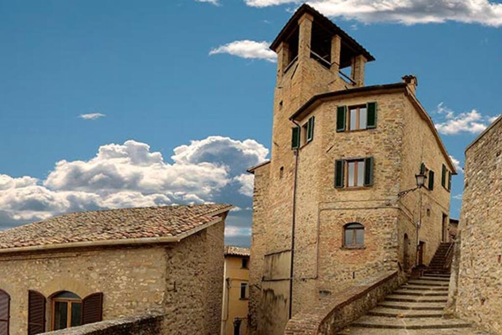 Montone
