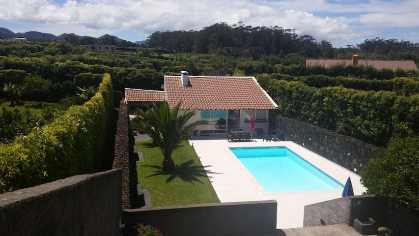 Studio farm - With Car?