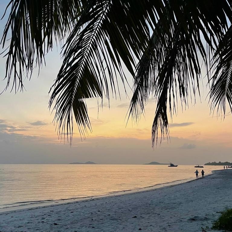 The foreground features palm leaves gently swaying, framing a tranquil shoreline. The calm waters reflect soft hues of orange and pink as the sun sets. Silhouettes of two people can be seen walking along the beach, with distant boats floating on the horizon.