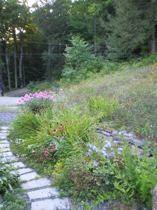 Walkway to apartment