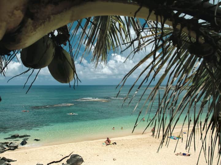 Sharks Cove Vacation Rentals & Homes Pupukea, HI Airbnb