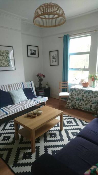 Living room with sofa bed and couch