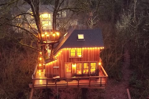 Emerald Forest Treehouse - From Treehouse Masters