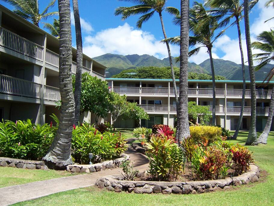 Wavecrest Buildings