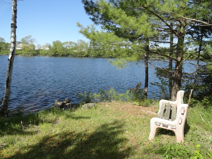 4 BR Country Living on Lake near Bridgewater N S Houses for Rent in