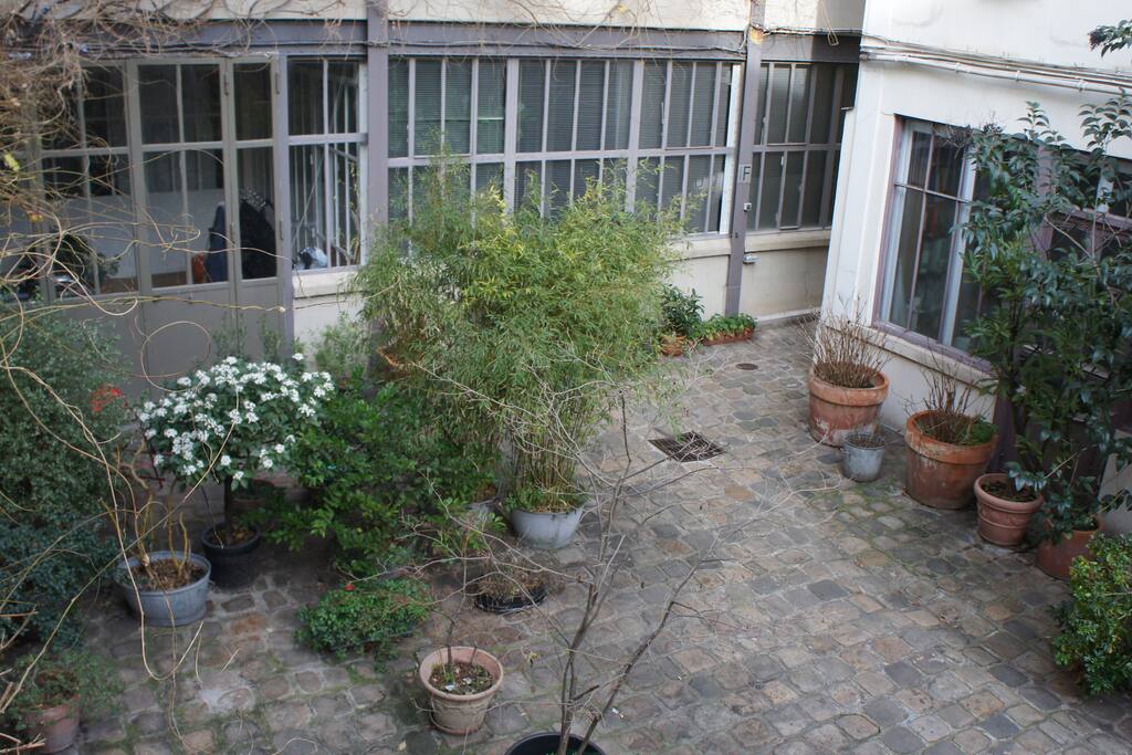 cour arborée