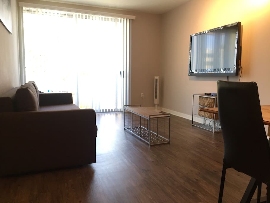 Living Room Area