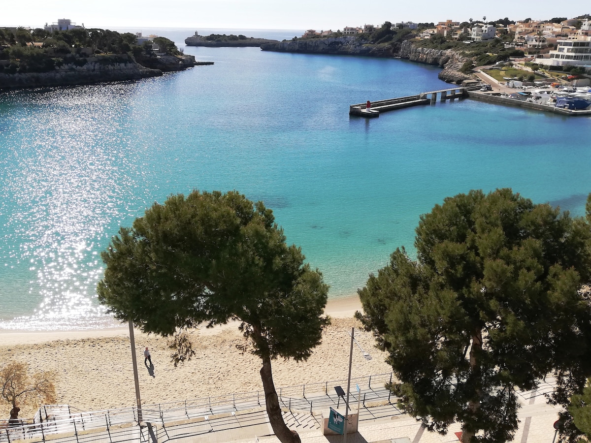A tranquil beach scene is depicted, showcasing a calm turquoise bay with a sandy shoreline. Pine trees frame the foreground, leading to a quiet walking path beside the water. The distant shore is lined with buildings, indicating a coastal community.