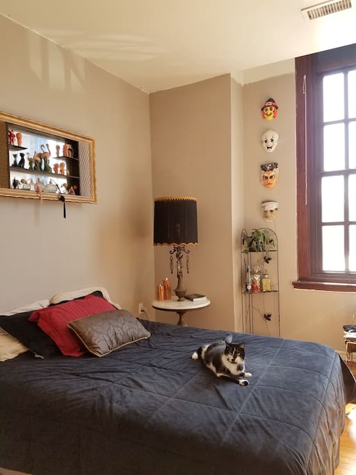 retro-kitsche private bedroom, cat included