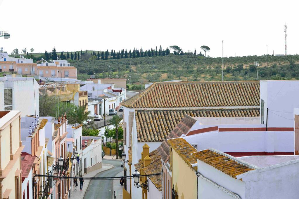 Calle Real Vista desde la Casa