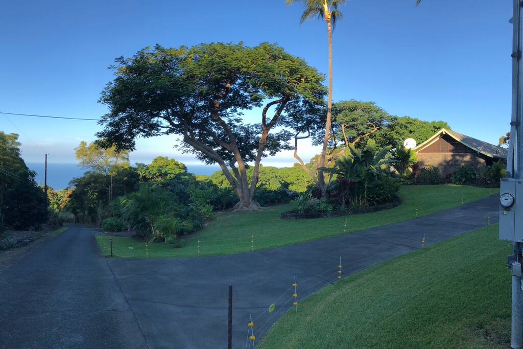 Private road on a dead end street leading to the driveway of the property
