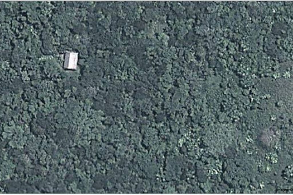 satellite picture of the house and the private jungle reserve