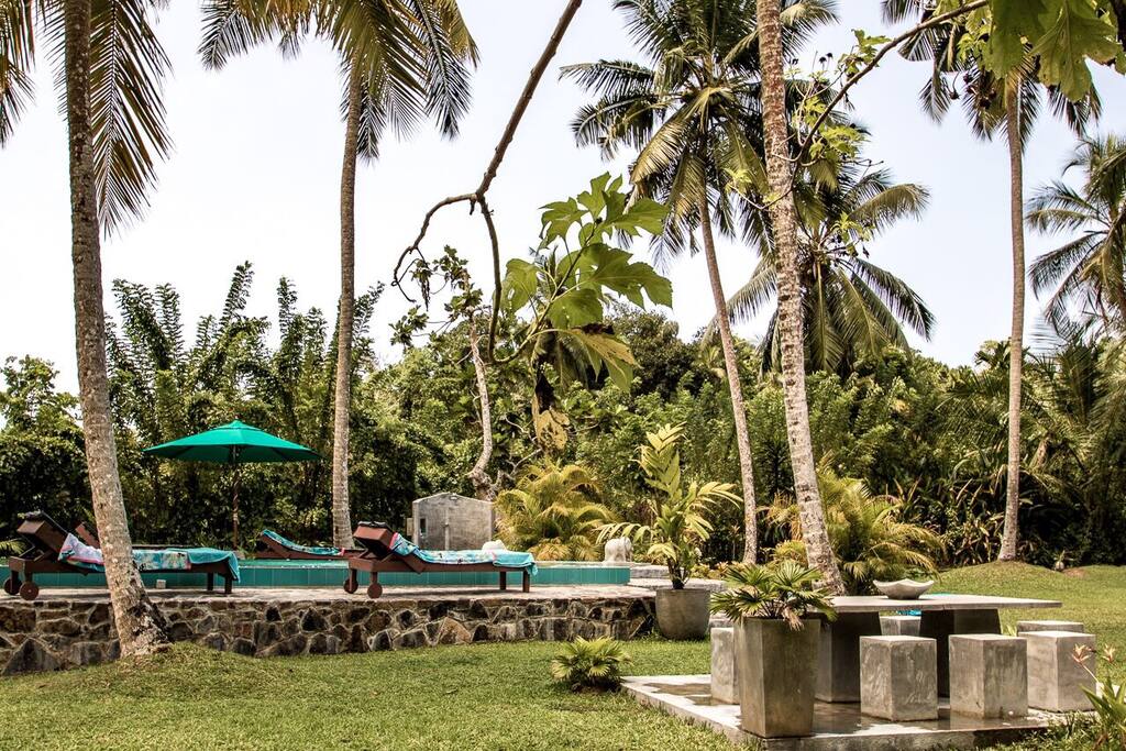Pool and garden