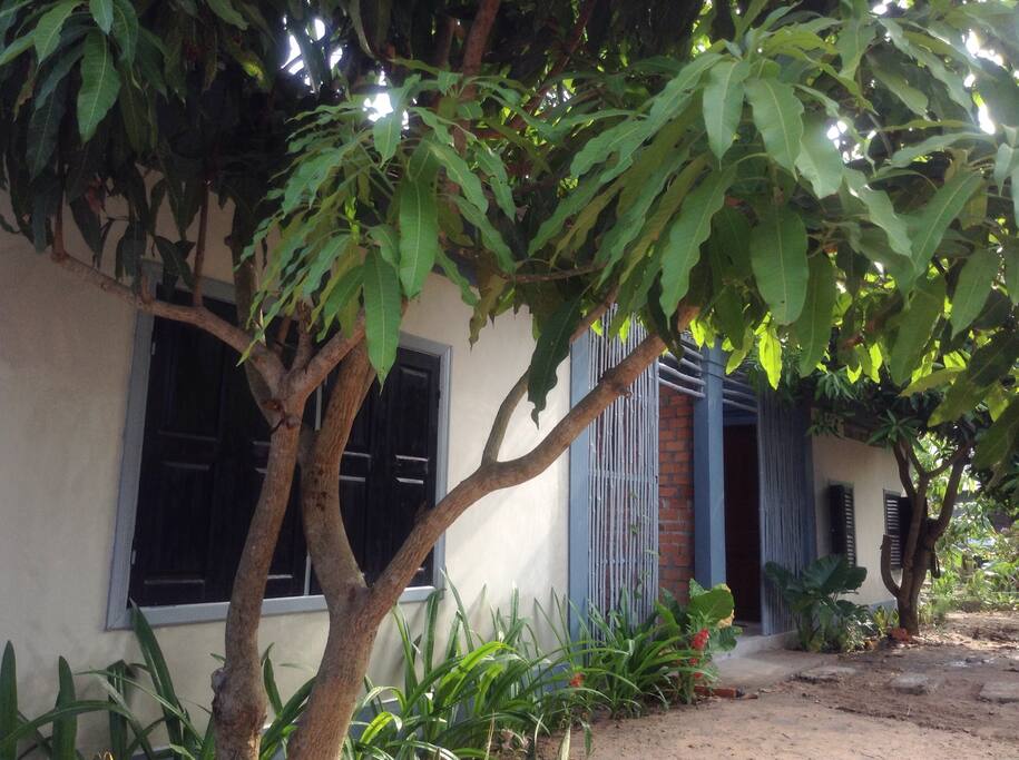 Out side view of the huts