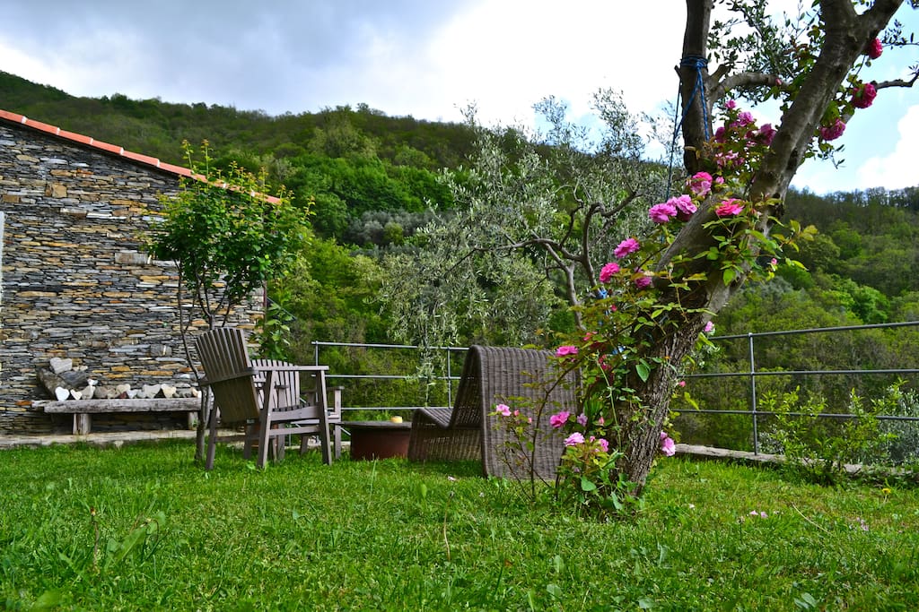 il giardino
