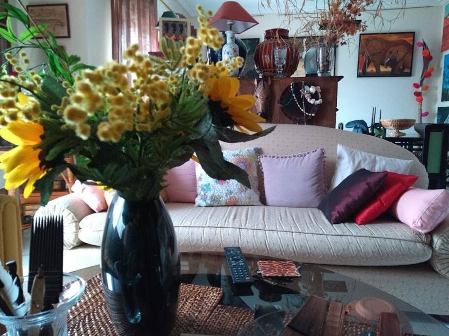 sala de estar / Living-Room