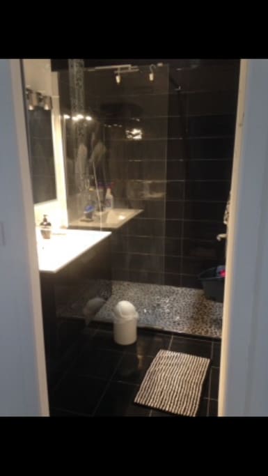 Salle d'eau avec douche italienne + 1 lavabo 2 tiroirs et une armoire colonne