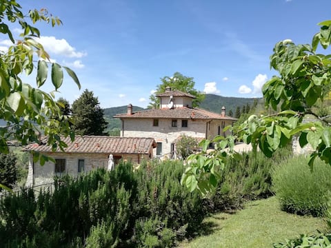 Tuscan vineyard home. Near Florence