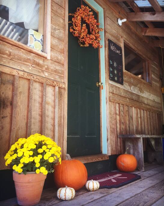 All ready for fall.....