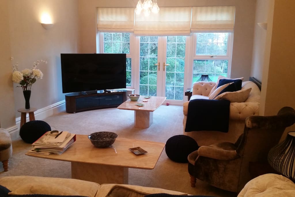 Lounge area 1: Widescreen TV. Patio into garden.