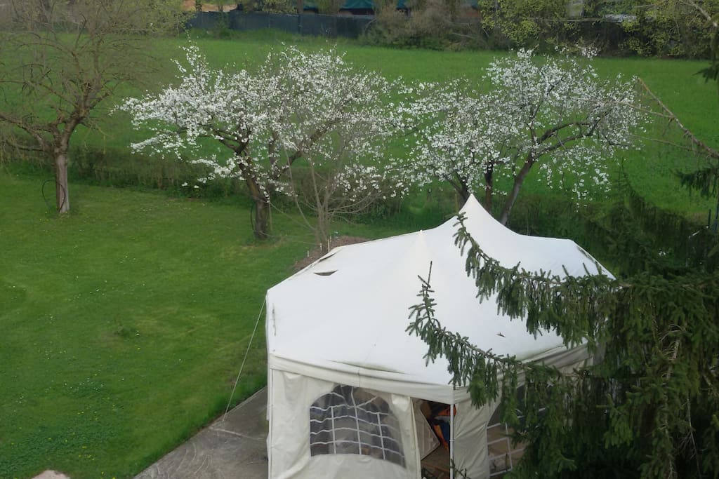 Il gazebo ovale