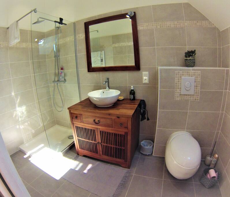 Salle de douche en suite