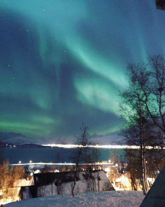 Aurora view from my balcony !! Photo by P. Oramas