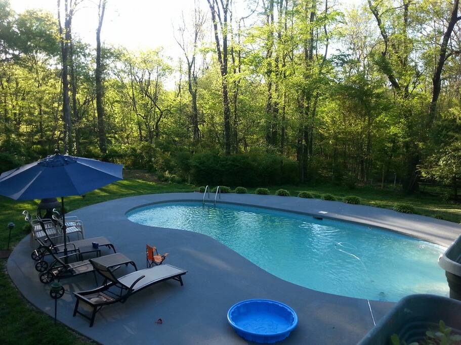 Pool with lounge chairs!