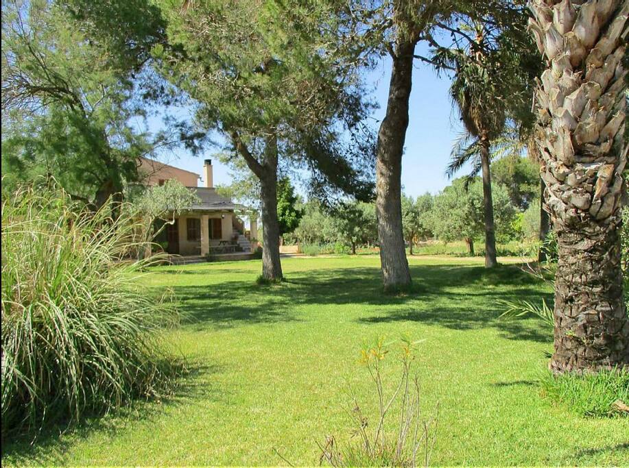 Great private garden to have relax & fun