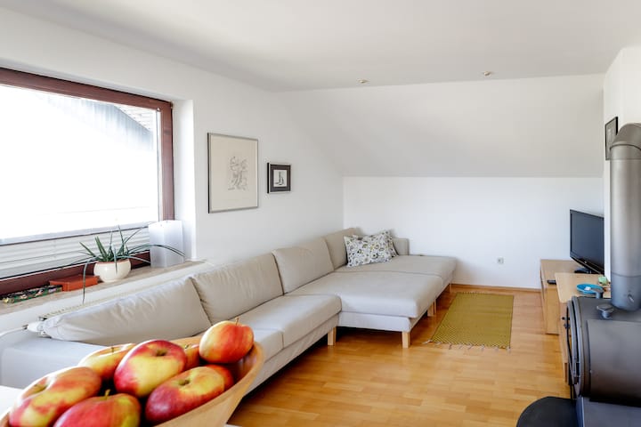 Cosy & Spacious Apt. Benč - Bled