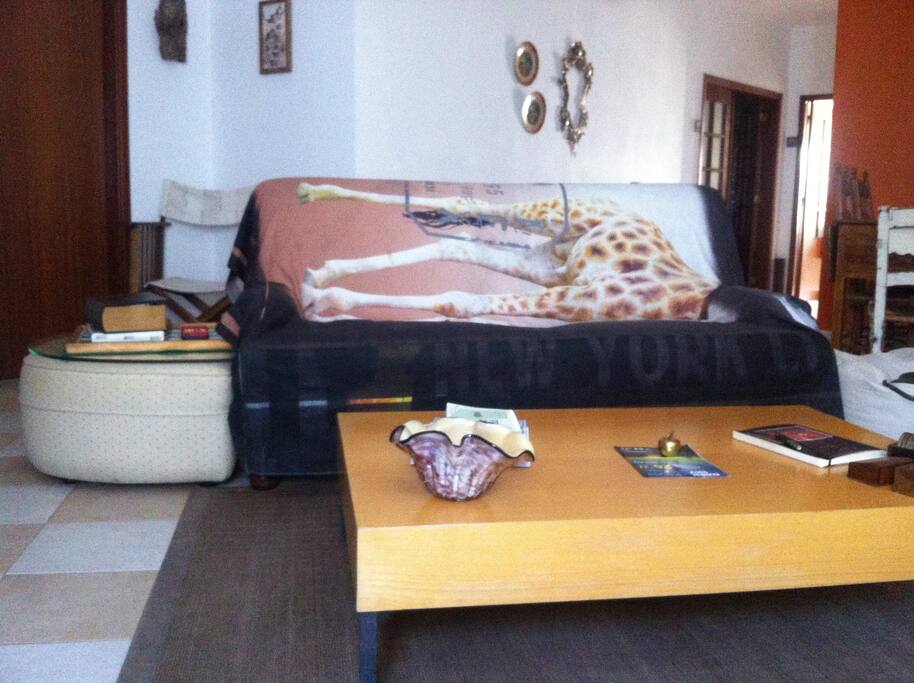 Living-room