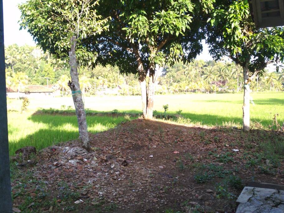 View in front of the house