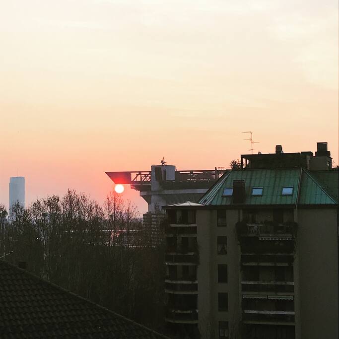 Terrace view