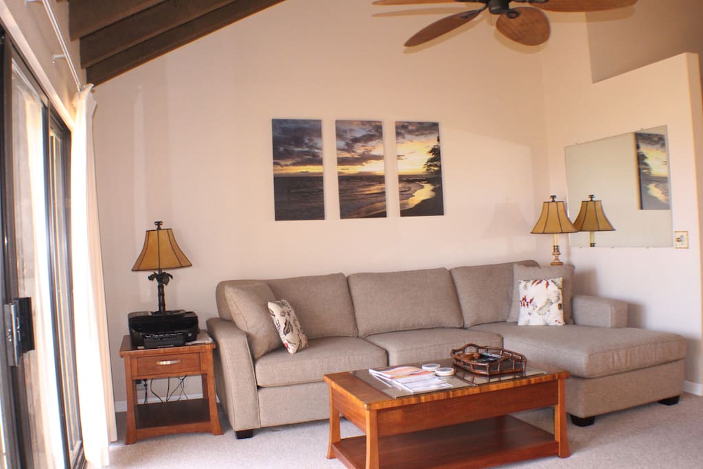 Living area with pull out sofa