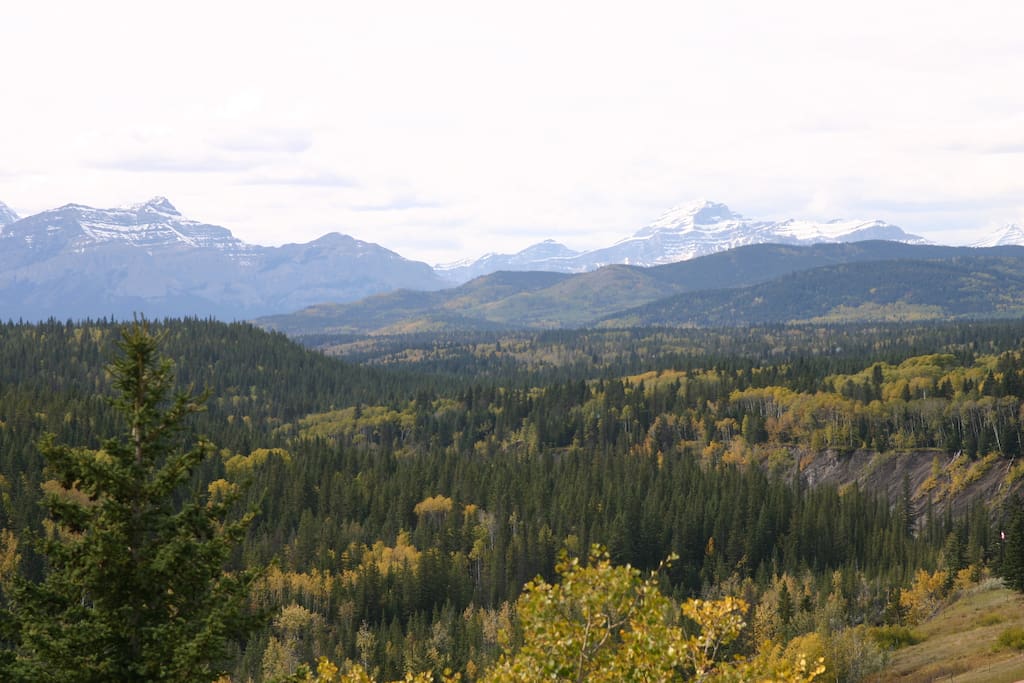 Looking Northwest- Your view!