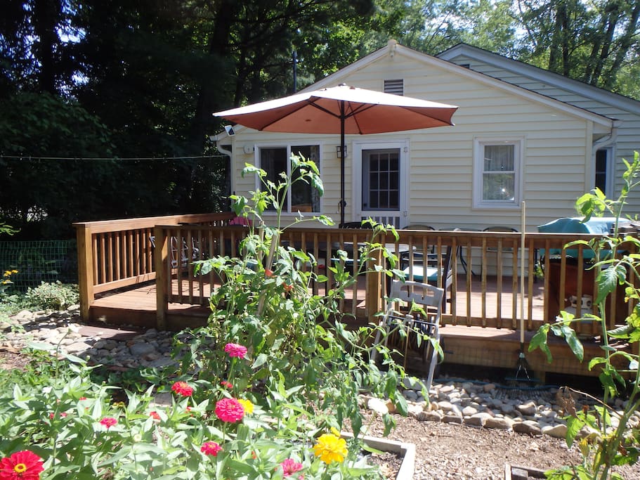 Back deck and gardens