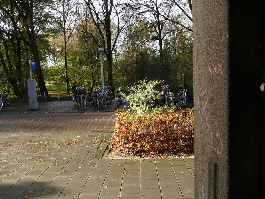 View at the Rembrandtpark!