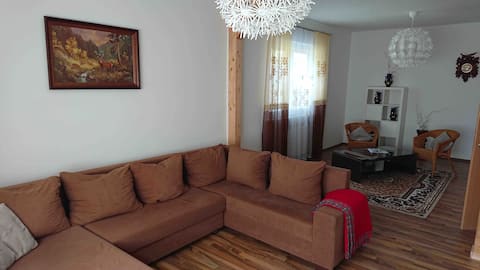 Large cozy apartment in the Heidekreis