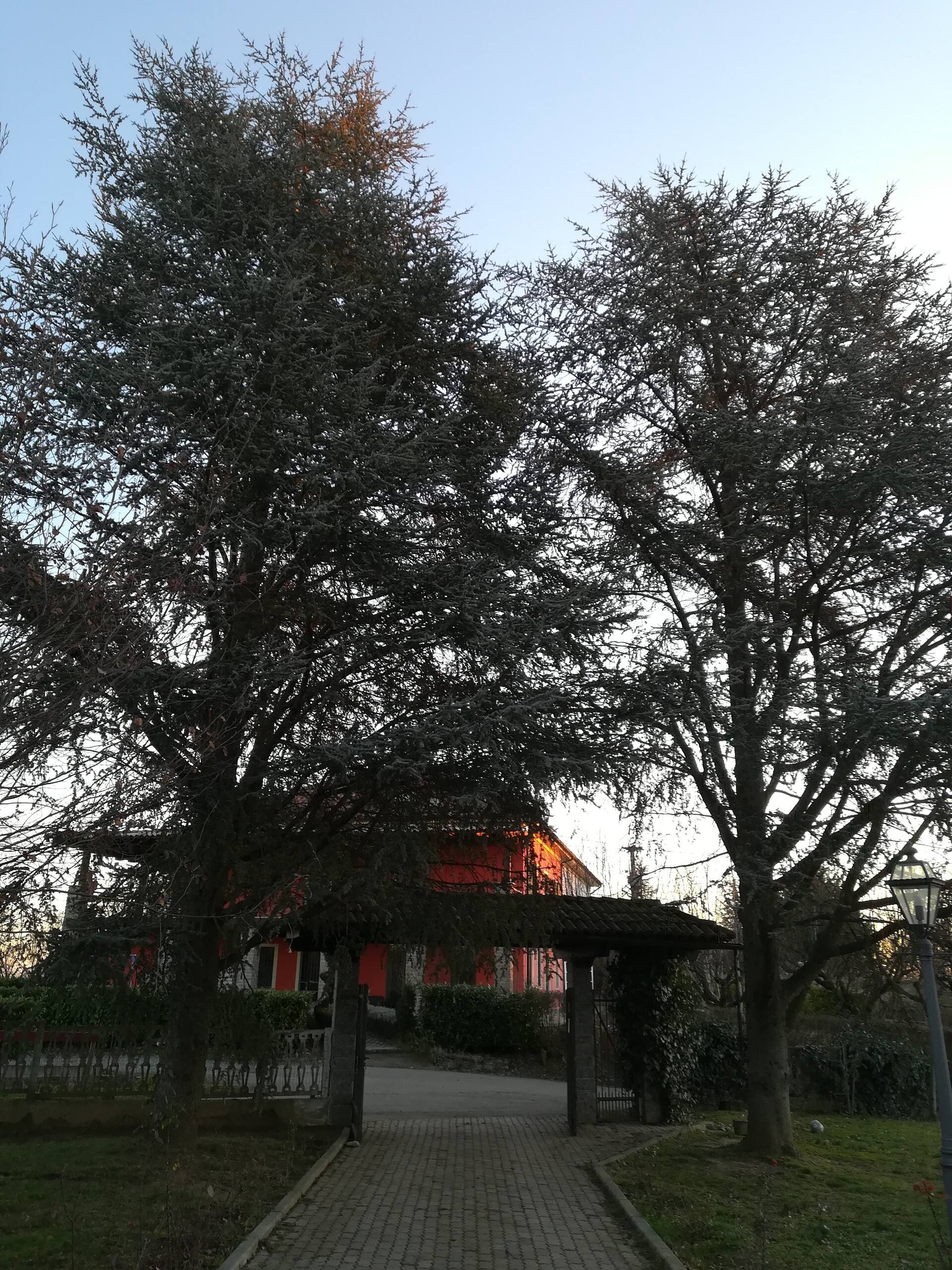 Villa Laura