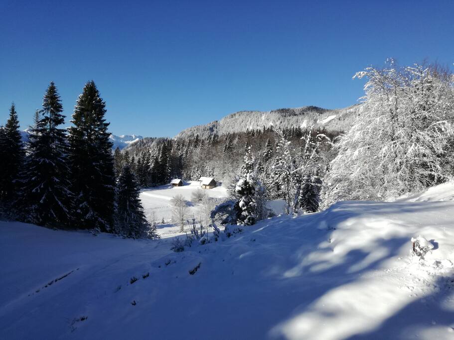Sonne weckt us auch im Winter schon beim Frühstück