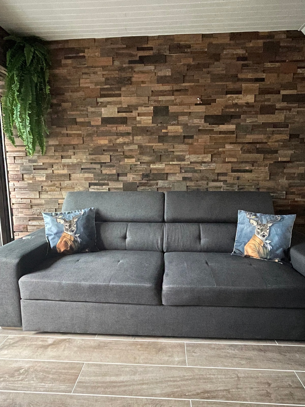 Successful Airbnb property: Entire chalet, Village des Chalets estate 1700 m in Vignec