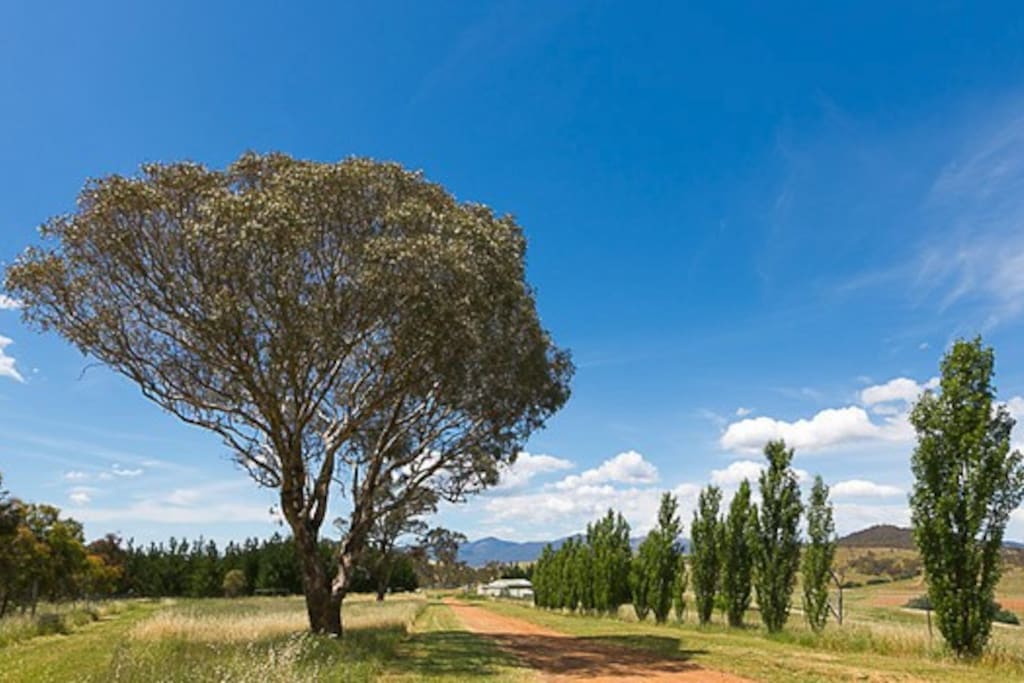 Driveway