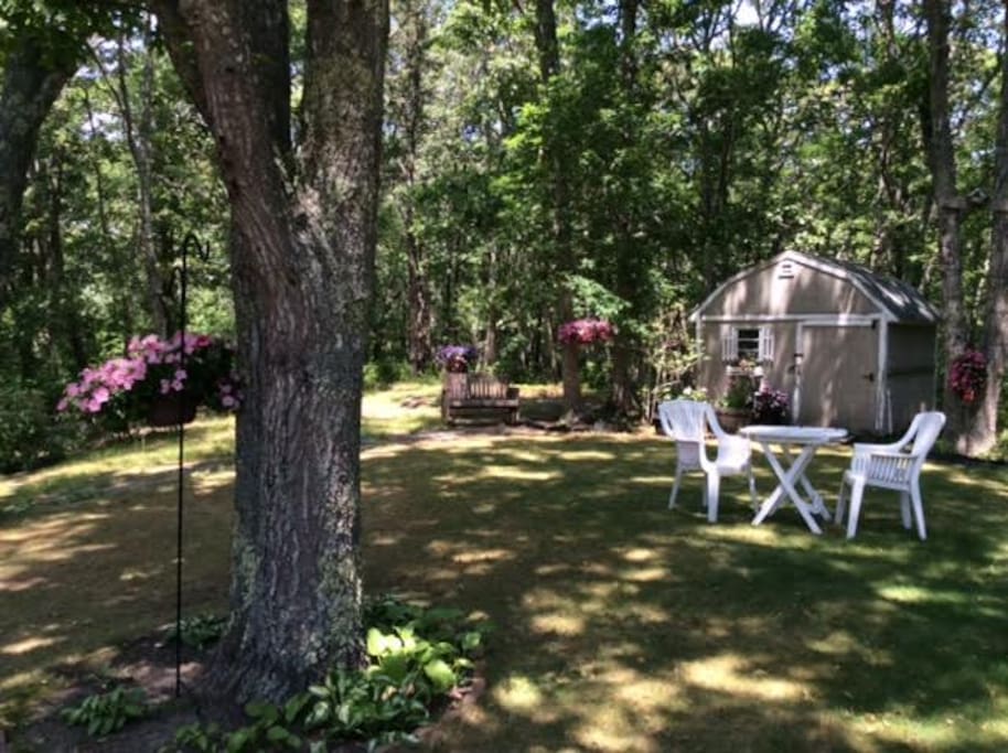 Back yard where you are welcome to sit and relax or try a game of badminton or croquet.