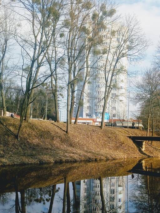 Фасад дома, вид из парковой зоны