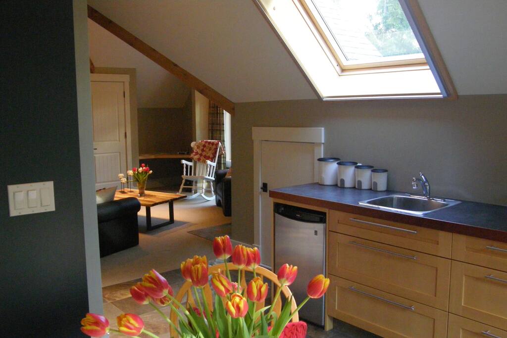 Vaulted open beam ceilings, with skylights and European cabinets